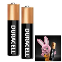 Pila Aa Alcalina Duracell Blister X2
