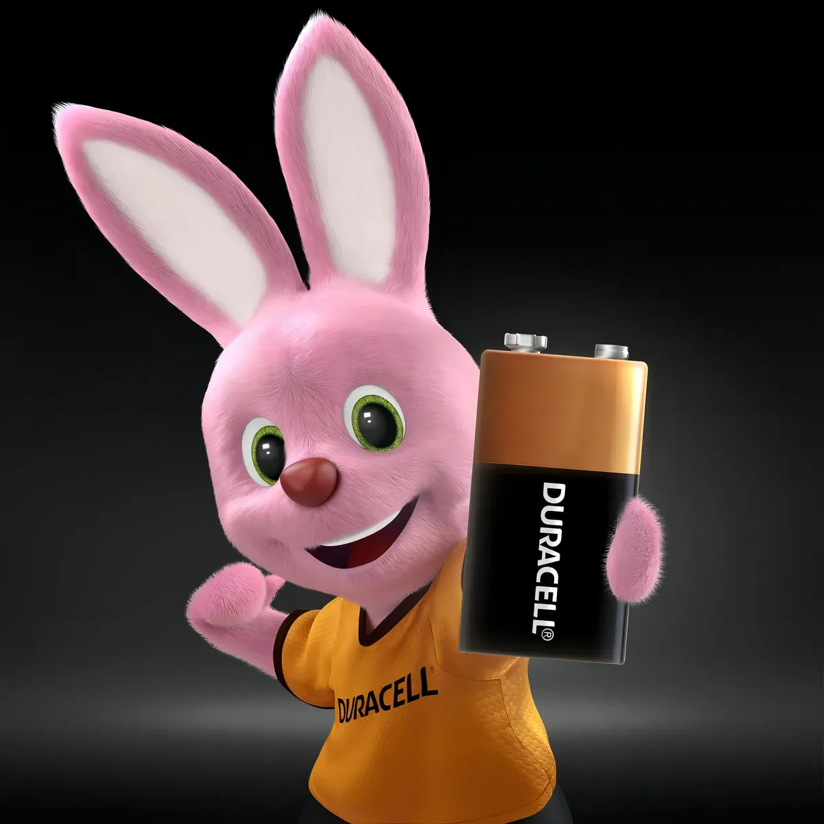 Miniatura 3 de Pilas y baterias alcalinas marca Duracell